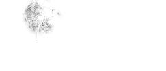 logo4